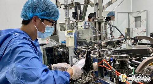 維西縣特色農業扶貧開發公司魔芋加工廠生產線正式投產 智能農業管理引領新篇章